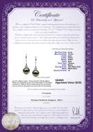 Product certificate: TAH-B-AAA-910-E-Merry