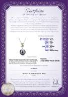 Product certificate: TAH-B-AAA-910-P-Belva