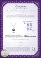 Product certificate: TAH-B-AAA-910-P-Vondra