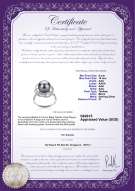 Product certificate: TAH-B-AAA-910-R-Bobbie