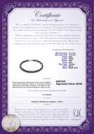 Product certificate: TAH-B-N-Q117