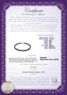 Product certificate: TAH-MULTI-N-Q124