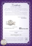 Product certificate: W-14K-Clasp-DBL-Sussex