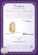 Product certificate: W-14K-TRP-Clasp-Dartmoor