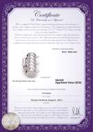 Product certificate: W-14K-TRP-Clasp