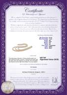 Product certificate: W-AA-67-N-TRP