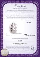 Product certificate: W-Alloy-TRP-Clasp-Leeds