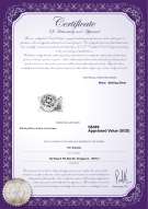 Product certificate: W-Brass-DBL-Clasp-Lisbon