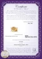 Product certificate: Y-Alloy-DBL-Round-Clasp-Nala