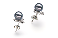 6-7mm AA Quality Japanese Akoya Cultured Pearl Earring Pair in Jodie Black