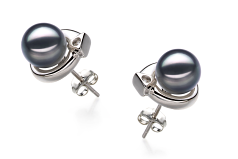 7-8mm AA Quality Japanese Akoya Cultured Pearl Earring Pair in Angelina Black