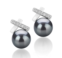 7-8mm AAA Quality Freshwater Cultured Pearl Earring Pair in Klarita Black