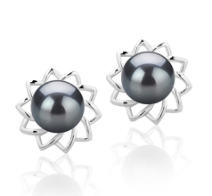 7-8mm AAAA Quality Freshwater Cultured Pearl Earring Pair in Morgan Black