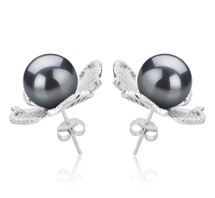 10-11mm AAA Quality Tahitian Cultured Pearl Earring Pair in Abigail Black