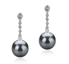 9-10mm AAA Quality Tahitian Cultured Pearl Earring Pair in Ariel Black