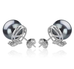 10-11mm AAA Quality Tahitian Cultured Pearl Earring Pair in Berry Black