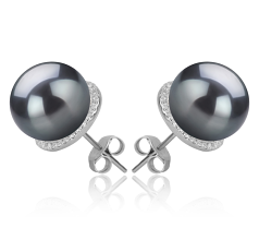 10-11mm AAA Quality Tahitian Cultured Pearl Earring Pair in Tammy Black